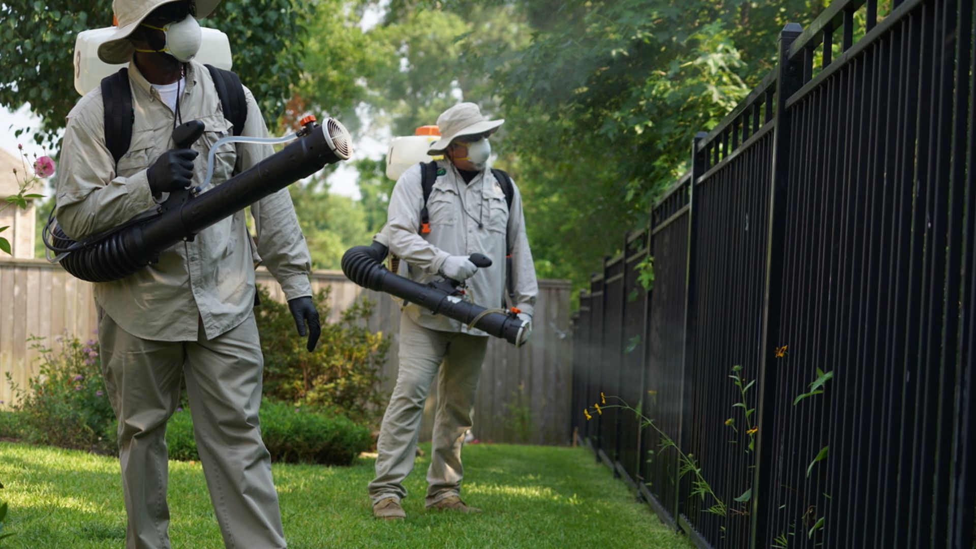 How Mosquito Pest Control Works