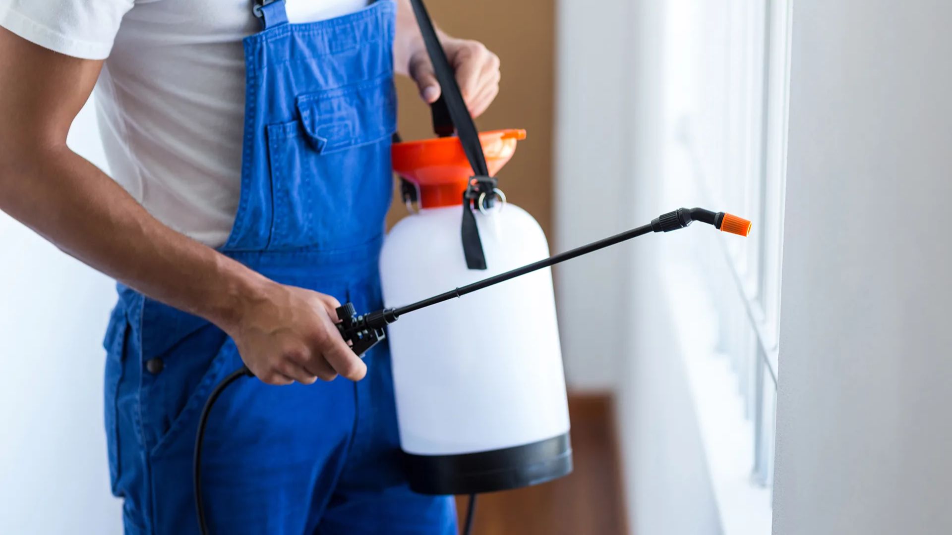Why Choose Mosquito Pest Control Services 